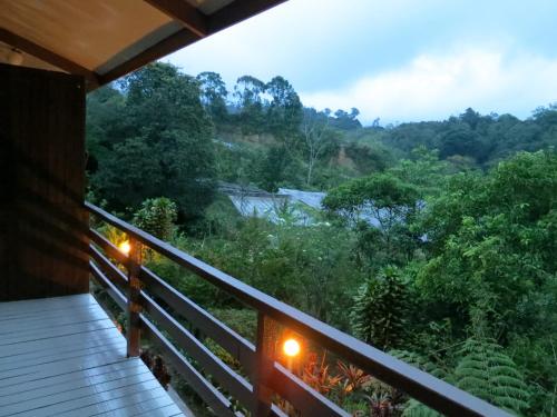 Apkārtne, Mile 36 Lodge in Kinabalu Nacionālais parks