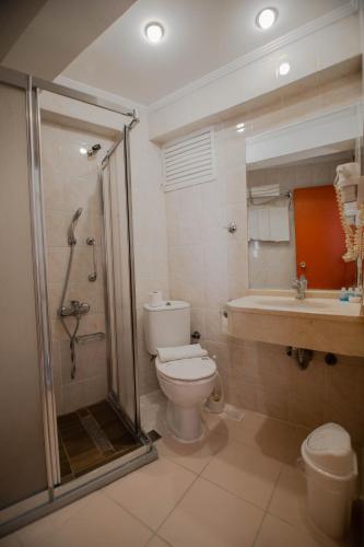 Sahinler Hotel, Istanbul (fotografie 8)
