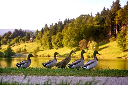 Terme Zreče – Hotel Atrij