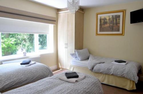 Comfort Triple Room with Shower