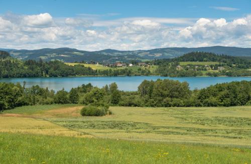 Hotel Seehof