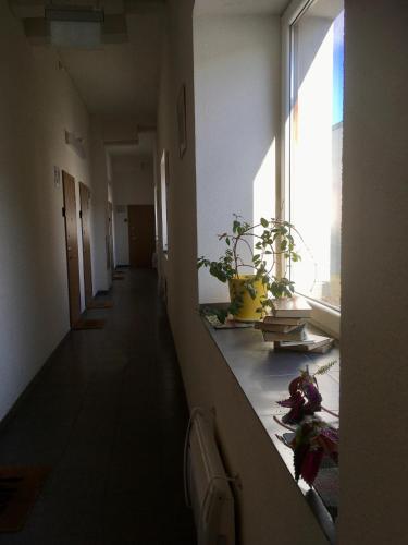 設施, 娜塔莉小閣樓公寓 (Natalex MicroLofts) in 澤姆納爾長者