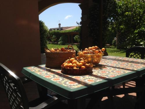 B&B Sedici Pini - image 10