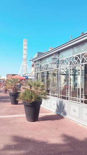 科特庄园酒店 科特庄园酒店