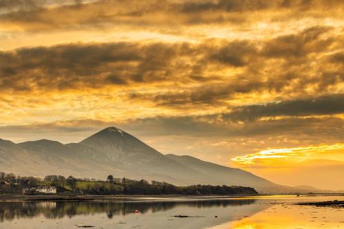 Asgard Apartments in Westport