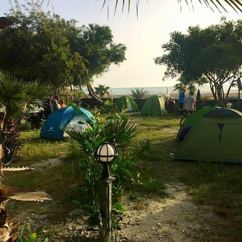 Green Park Camping
