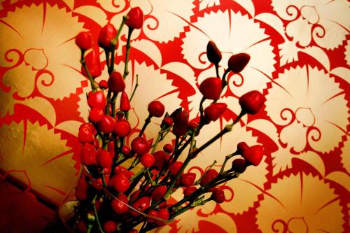 Boutique 25 - image 10