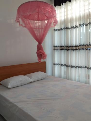 Mangohut Joy in Anuradhapura