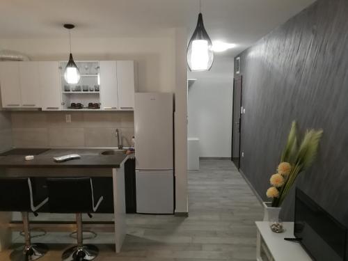 DANICA in Matije Huđi