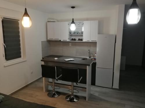 DANICA in Matije Huđi