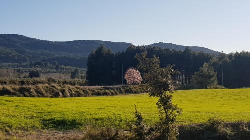 Apartamento Rural Alfawara