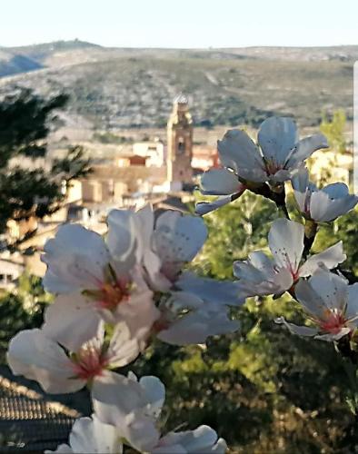 Apartamento Rural Alfawara