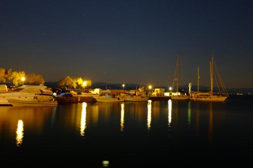 Des Roses Hotel - image 13