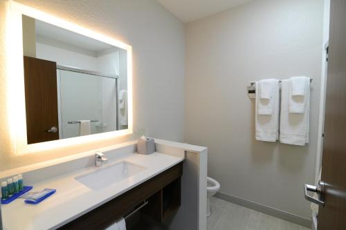 Holiday Inn Express & Suites Chicago North Shore - Niles, an IHG Hotel