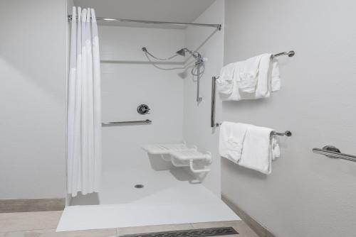 Holiday Inn Express & Suites - Bryan an IHG Hotel - image 4