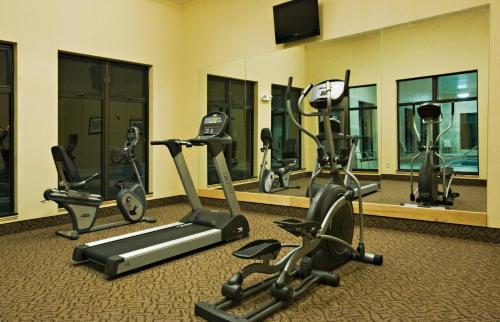 Holiday Inn Express Hotel and Suites Borger By IHG - 스파