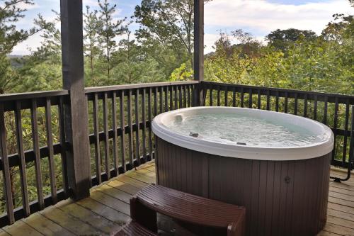 Pinnacle View 7B in Pigeon Forge, USA