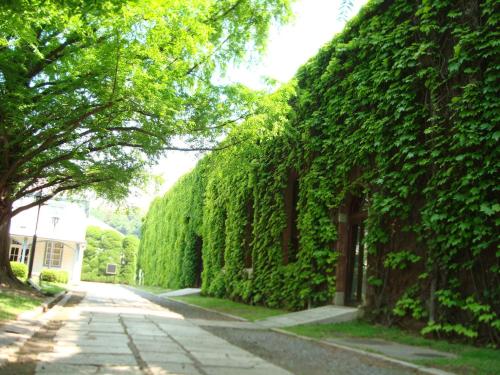 Kurashiki Ivy Square