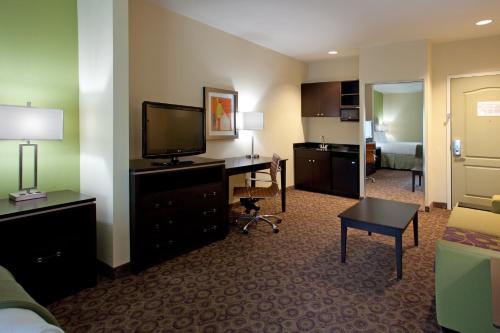 Holiday Inn Express Hotel & Suites Clemson - University Area, an IHG Hotel