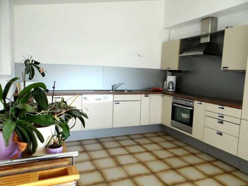 Cocina, Ferienwohnung Haida in Lampertheim
