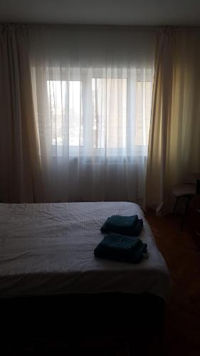 Apartament Central Vatra Dornei