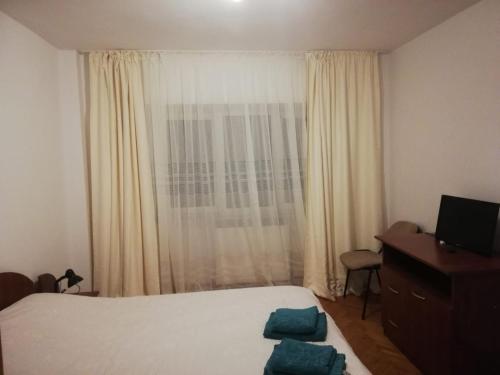 Apartament Central Vatra Dornei