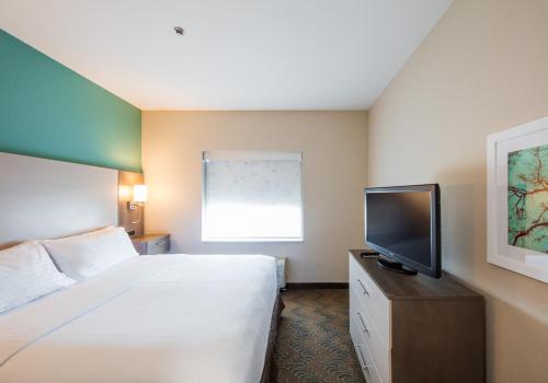 Holiday Inn Hotel & Suites Lake City, an IHG Hotel - image 6