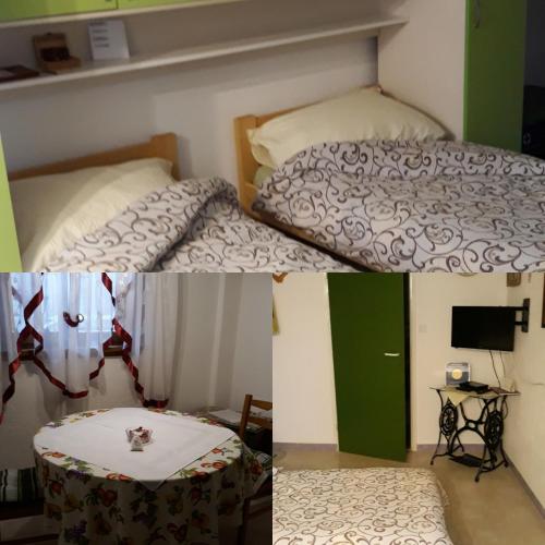  Studio Pod lipom in Roč