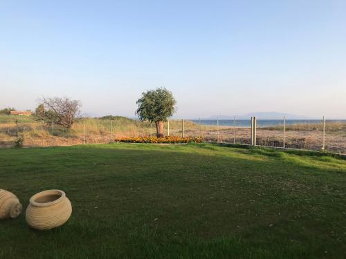 Garden, Aster Beach House in Nea Thesis