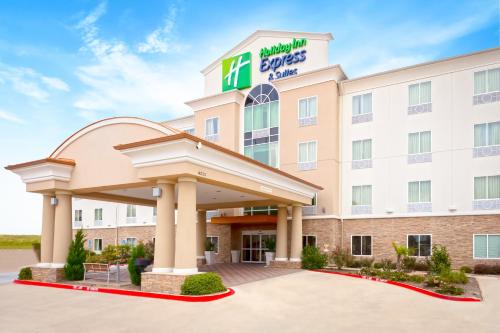 Foto - Holiday Inn Express Hotel & Suites Dallas West, an IHG Hotel