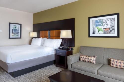 Holiday Inn Express Hotel & Suites Dallas West