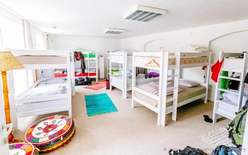 Camera condivisa, dormitorio misto, 14 ospiti