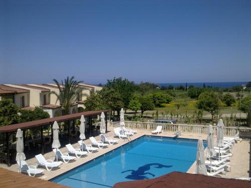 Club Alda - image 2