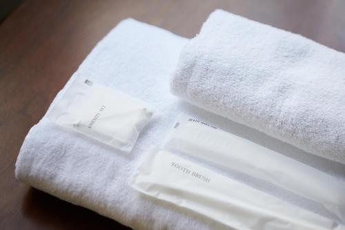 mizuka Imaizumi 2 無人ホテル