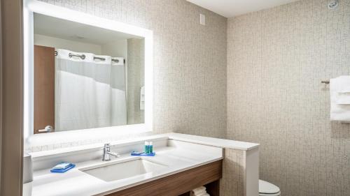 Holiday Inn Express & Suites Platteville an IHG Hotel - image 7