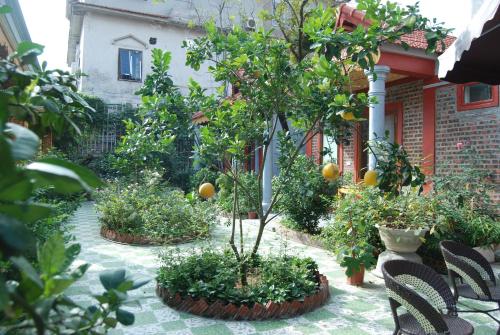 Tam Coc Family Homestay – Hoa Lu