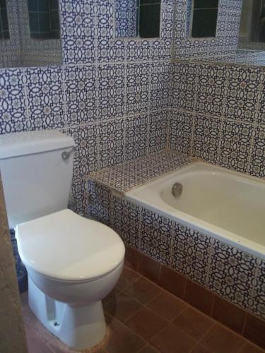 Nour El Balad - image 4