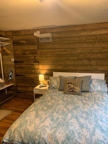 The Hedgehog, Pontypridd, West Wales