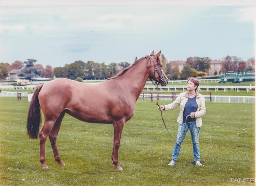 haras de la Cère