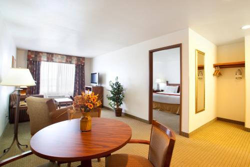 Holiday Inn Express Hotel & Suites Mattoon an IHG Hotel - image 8