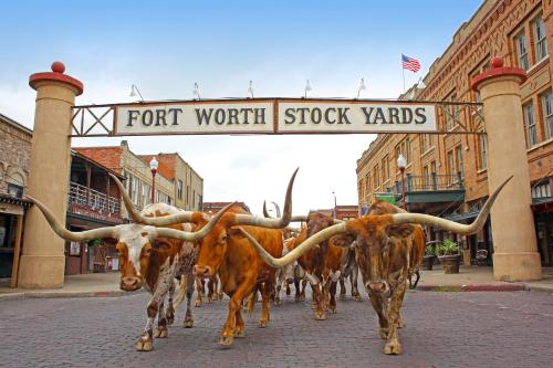 Holiday Inn Express Hotel and Suites Fort Worth/I-20 - image 7