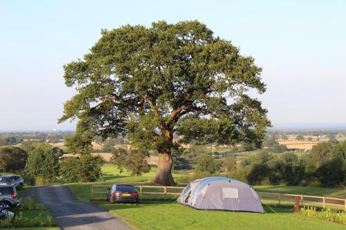 Marbury Camp and Lodge - image 2