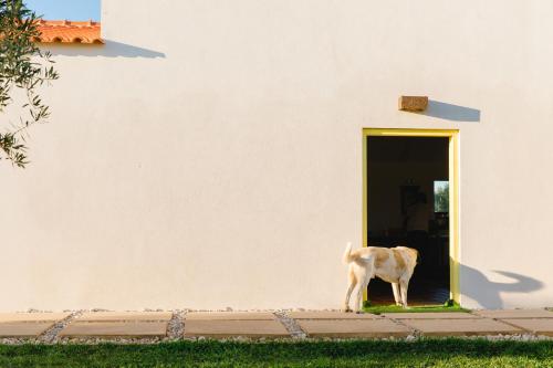 Monte da Casa do João - Exclusive, private & fully serviced