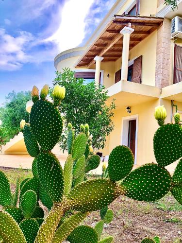  Armonia Corfu Luxury Apartment in Korfu-Stadt