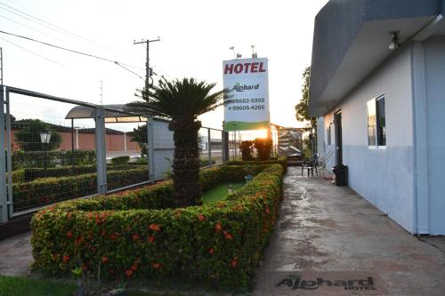 . Hotel Alphard