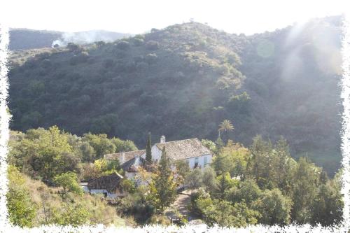  Cortijo Casas Viejas in Málaga