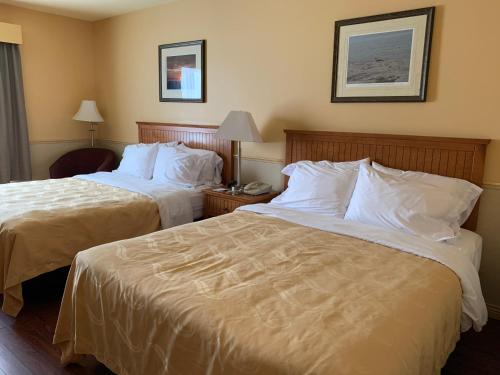 Queen Room with Two Queen Beds - Non-Smoking