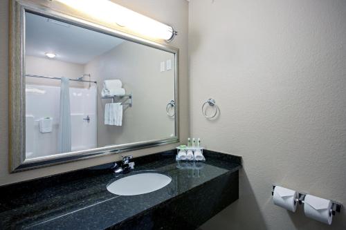 Holiday Inn Express & Suites - Green Bay East