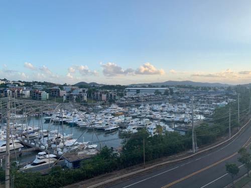 Oasis Luxury Penthouse with Ocean and Marina Views - image 4