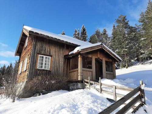 Ieeja, Gamlestugu Greivjord Fjellgard in Tuddal